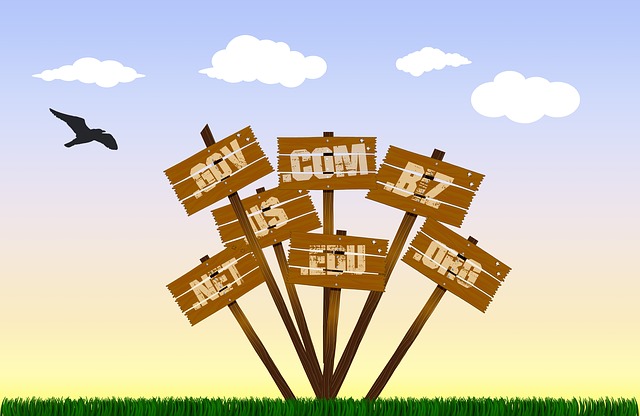 How to buy a domain name for your blog
