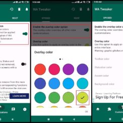 How to change the color of your WhatsApp
